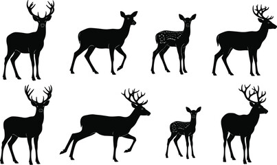 Silhouette collection of deer, doe, stag and fawn in various standing and walking poses, elegant wildlife vector illustration set for nature and forest design, isolated