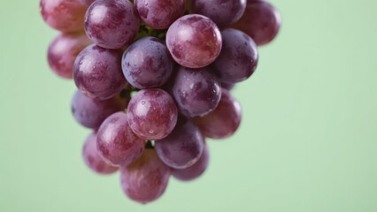 Fototapeta premium A bunch of purple grapes are plump and attractive, presenting the sweet texture of fresh fruit and fresh visual aesthetics.