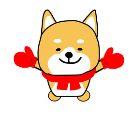 冬に赤いマフラーと手袋をして大喜びのしばいぬ