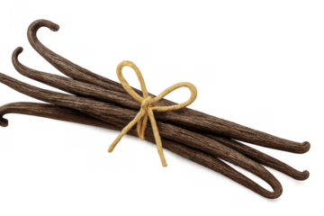 Dried vanilla beans on transparent background, aromatic spice for cooking, baking, and sweet natural flavoring