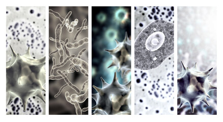 Collection banners with pathogenic bacterias and viruses. 3d virus under microscope. Fast multiplication of bacteria. Infection and microbe. Rapid bacterial growth. Infection and microbial activity