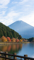 Tanuki Lake and Mount Fuji in Autumn Foliage, Shizuoka, Japan – November 18, 2025