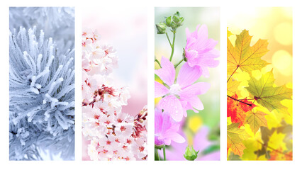 Set of nature banners depicting natural world. Four season of year. Each one features scene of nature, from snow of winter to vibrant leaves of fall. Perfect  for showcasing of changing seasons