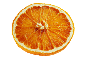 Minimalist dried orange slice illustration in modern comic style isolated on transparent background