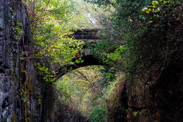 Disused railway cutting with moss-covered rock walls, scattered autumn leaves and an old bridge overhead along the Wirral Way