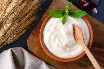 Traditional yogurt, full-fat or nonfat. Yogurt made from cow's or goat's milk on black background