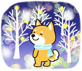 美しいイルミネーションを眺めているしばいぬ