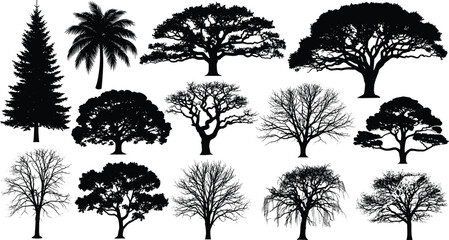 Tree silhouette vector set, diverse forest collection, nature illustration, pine oak palm icons, landscape design elements, botanical black shapes © parves's world