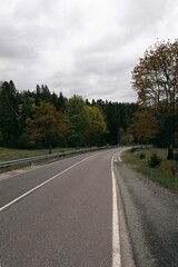 road in autumn