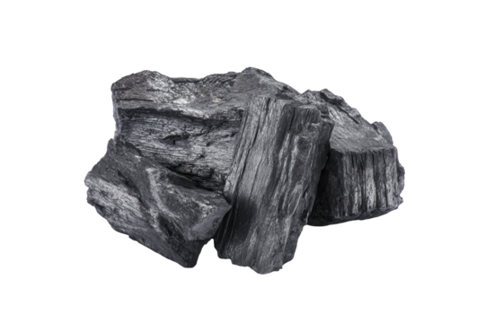 Several dark black charcoal pieces with textured surfaces are arranged on a pure black background