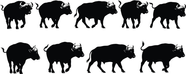 Animation sequence of walking African buffalo silhouettes, frame by frame motion cycle of wild bull, vector illustration isolated on white background