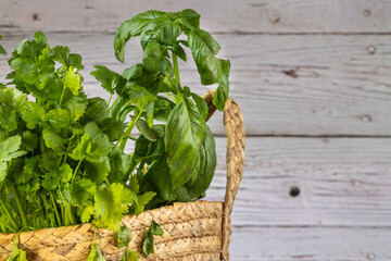 close-up of fresh basil and cilantro in woven basket
