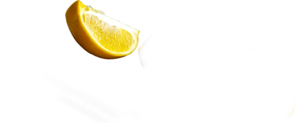 lemon slice isolated on white