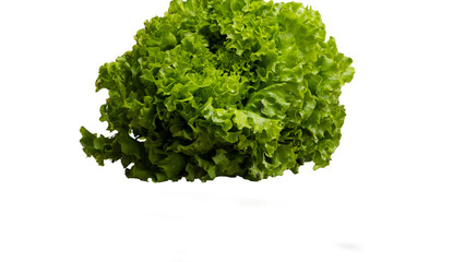 PNG. fresh green lettuce Transparent