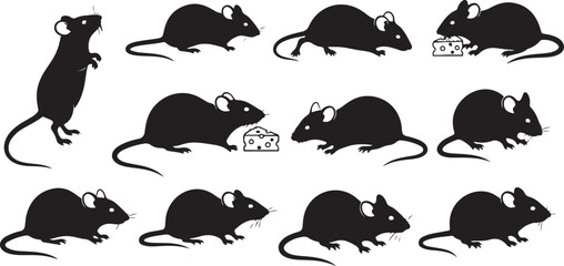 set of black and white face of bear vector