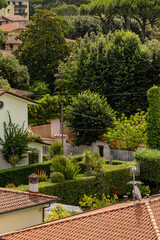 Viareggio, Italy, tiled roofs of houses among the trees. View of the city from above.