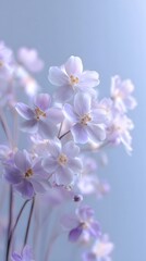 Soft focus image of delicate pastel purple and white flowers against a serene blue background