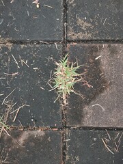 glass and block surface on background