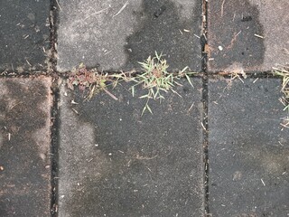 glass and brick surface on background