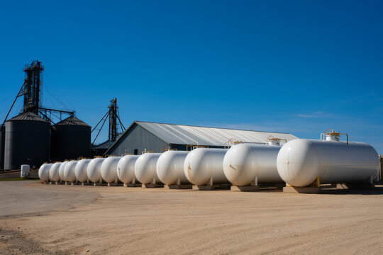 Row of white industrial storage tanks beside agricultural grain silos under a clear blue sky.