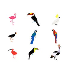 Naklejka premium Tropical Jungle Bird Illustration