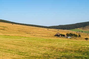 Obraz premium Mont Mézenc, par une journée estivale, en Haute-Loire