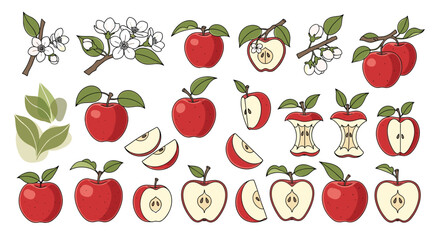Fototapeta premium A collection of red apple illustrations depicting whole fruits, slices, blossoms, and cores, ideal for educational or design projects.