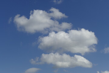 Fototapeta premium Weisse Quellwolken, Blauer Himmel, Deutschland