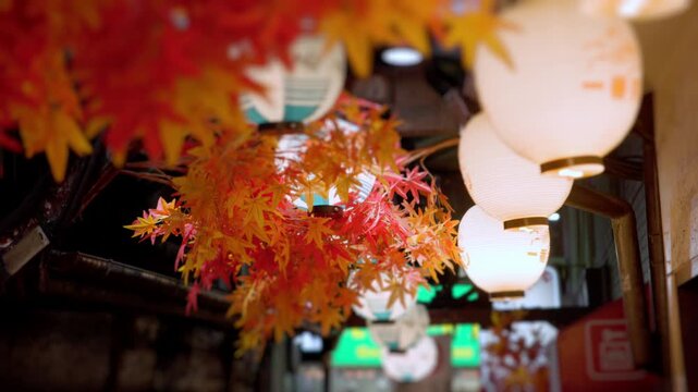 Japanese paper lanterns and maple leaves decorating a street at night