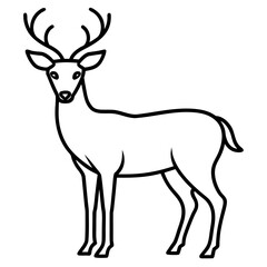 Fototapeta premium deer silhouette vector