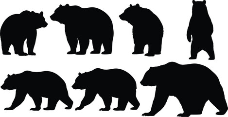 Bear silhouette collection of various poses on white background