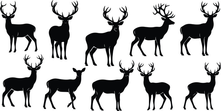 deer silhouette collection