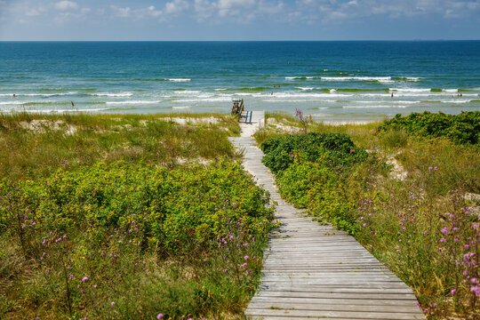 Wooden boardwalk path leading through wild dune vegetation toward the blue Baltic sea, with bicycles parked at the edge of the beach
