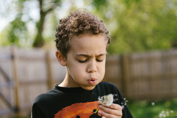 Mixed race boy blows seeds off dandelion in home backyard