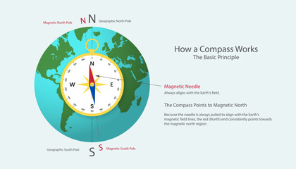 Infographic showing how a compass works