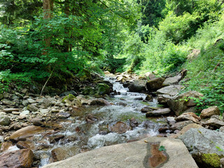 big stones in water stream Lobnica. Green forest on Pohorje mountain. Nature of Slovenia.