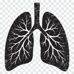 Distressed Black Silhouette of Human Lungs and Vintage Human Lungs Silhouette Pack Lungs Line Art Vector Bundle – Anatomical Graphics Grunge Style Lung Illustration Set