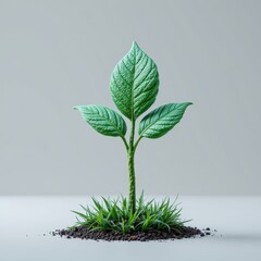 Vibrant Green Plant Sprouting from Rich Soil Symbolizing Growth and Renewal in Nature