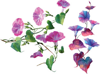 watercolor pink flower with leaf