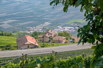 Wonderful landscape of Cortaccia sulla Strada del Vino (Wine Road) in Northern Italy, South Tyrol,...