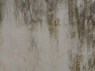 The dirty, mossy texture of the walls forms an abstract, aesthetic background pattern.

