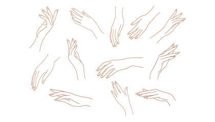 Collection of elegant female hands with manicured nails in various graceful poses line art woman
