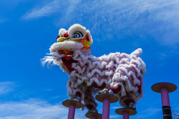 Lion dance and confetti during Chinese New Year celebration