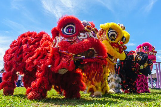 Lion dance and confetti during Chinese New Year celebration