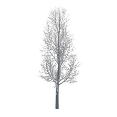 Fototapeta premium Tree snow covered isolated transparent background 3d rendering PNG 16 bit 