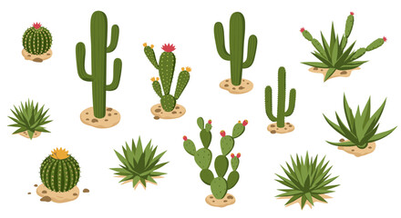 Fototapeta premium Assorted cacti and succulents: vibrant flat art on white background for nature designs