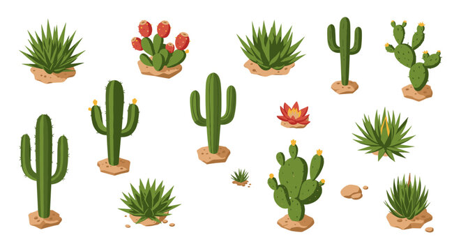 Desert plant collection: flat style cactus and succulent set