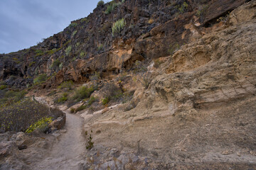 The trail through Barranco del Infierno gorge in Tenerife
