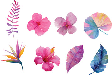 Fototapeta premium vector set of colorful leaves and hibiscus flower
