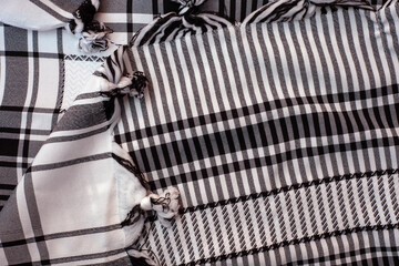 Plaid cloth with black and white stripes and a white fringe